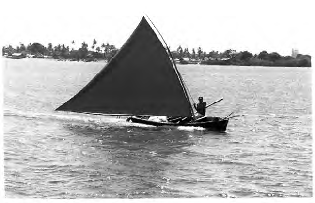 Sailing canoe – Jacare /Brazil