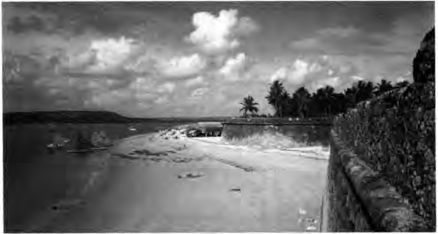 Fort Orange