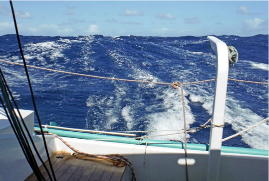 Surfing in the Southern Indian Ocean