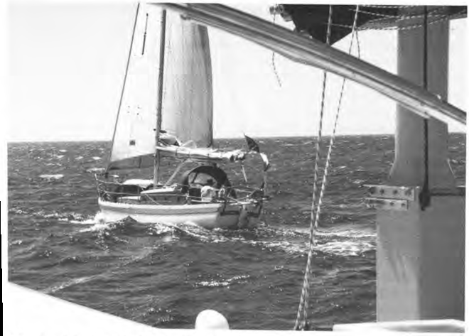 Meeting Speedwell in the South Atlantic